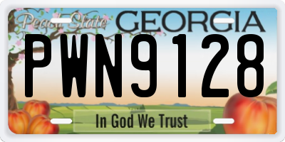 GA license plate PWN9128