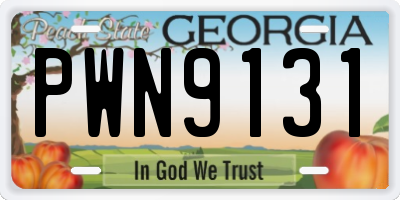 GA license plate PWN9131