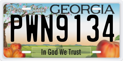 GA license plate PWN9134