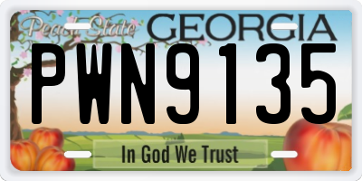 GA license plate PWN9135