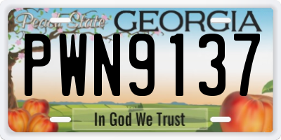 GA license plate PWN9137