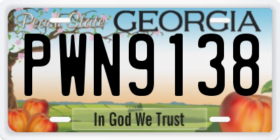 GA license plate PWN9138
