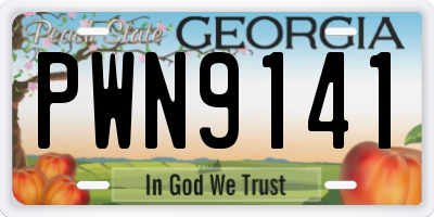 GA license plate PWN9141
