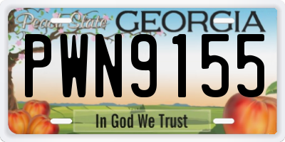 GA license plate PWN9155