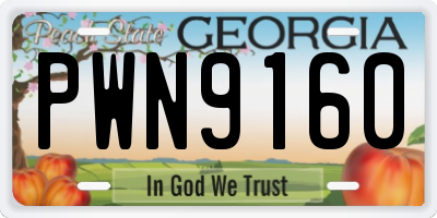 GA license plate PWN9160