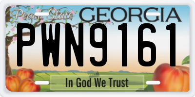 GA license plate PWN9161