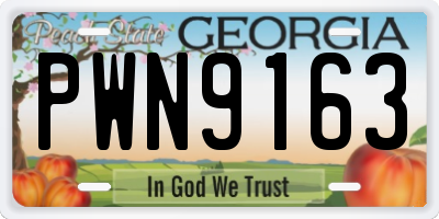 GA license plate PWN9163