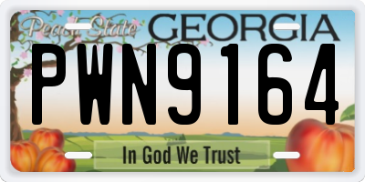 GA license plate PWN9164