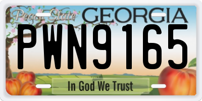 GA license plate PWN9165