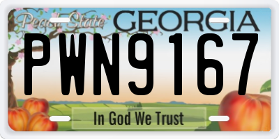 GA license plate PWN9167