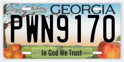 GA license plate PWN9170