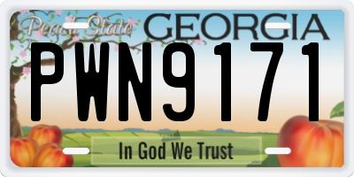 GA license plate PWN9171