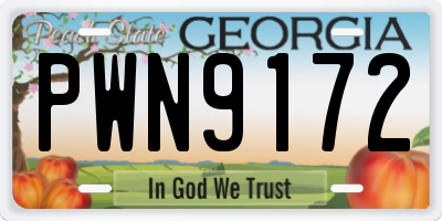 GA license plate PWN9172