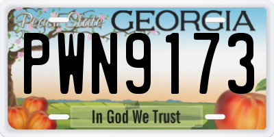 GA license plate PWN9173
