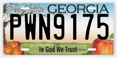 GA license plate PWN9175