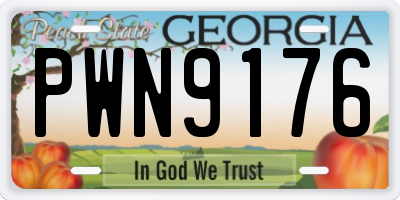 GA license plate PWN9176