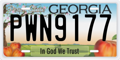 GA license plate PWN9177