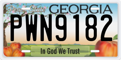 GA license plate PWN9182