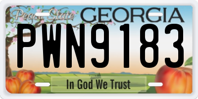 GA license plate PWN9183