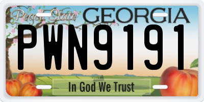 GA license plate PWN9191