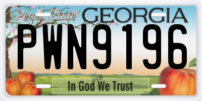 GA license plate PWN9196