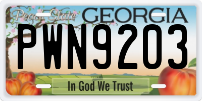 GA license plate PWN9203