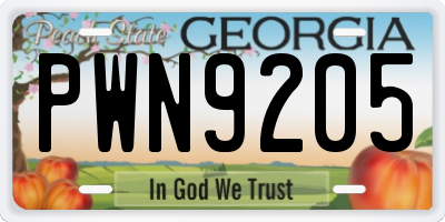 GA license plate PWN9205