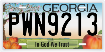 GA license plate PWN9213