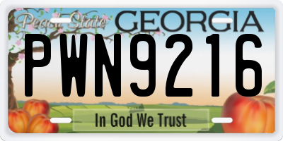 GA license plate PWN9216