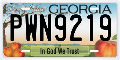 GA license plate PWN9219
