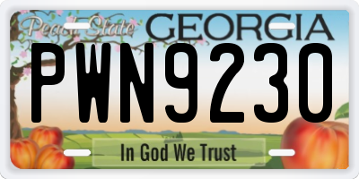 GA license plate PWN9230
