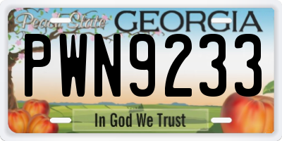 GA license plate PWN9233