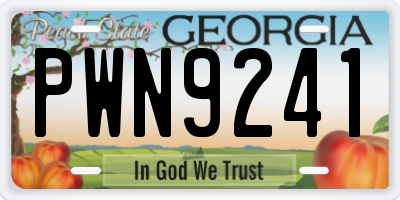 GA license plate PWN9241