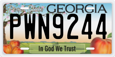 GA license plate PWN9244