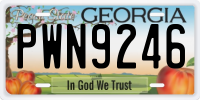 GA license plate PWN9246