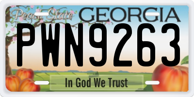 GA license plate PWN9263