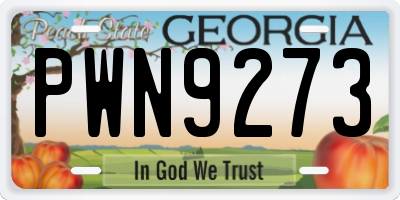 GA license plate PWN9273