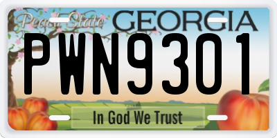 GA license plate PWN9301