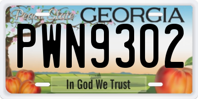 GA license plate PWN9302