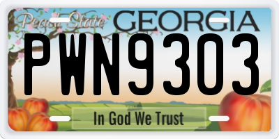 GA license plate PWN9303