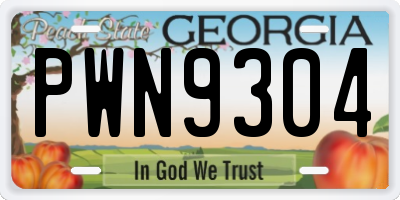 GA license plate PWN9304
