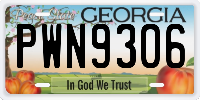 GA license plate PWN9306