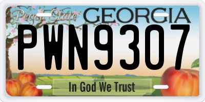 GA license plate PWN9307