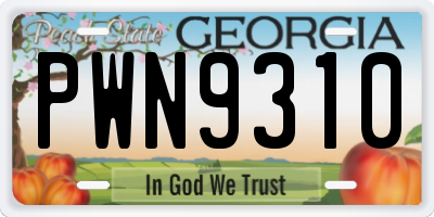 GA license plate PWN9310