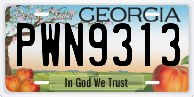 GA license plate PWN9313