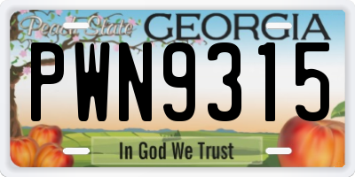 GA license plate PWN9315
