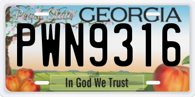 GA license plate PWN9316