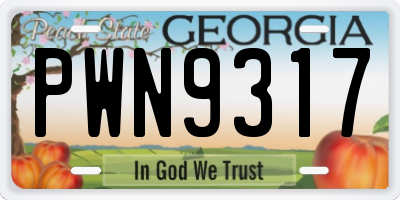 GA license plate PWN9317