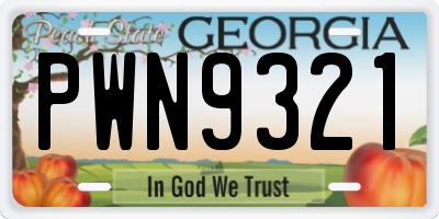 GA license plate PWN9321