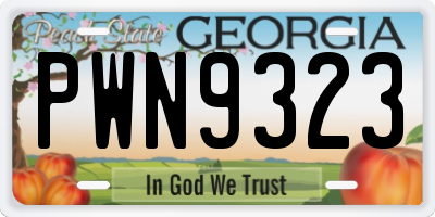 GA license plate PWN9323